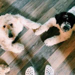 Meet your Posher, Elyse